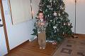 Picture 013